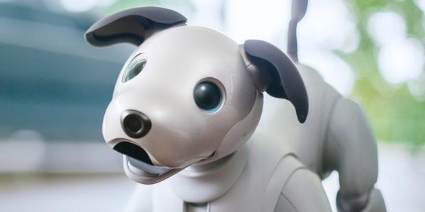 Blast from the past - Sony launch a new Aibo robot dog